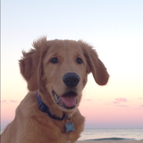 Meet your Posher, Deb - Picture 1 of 1